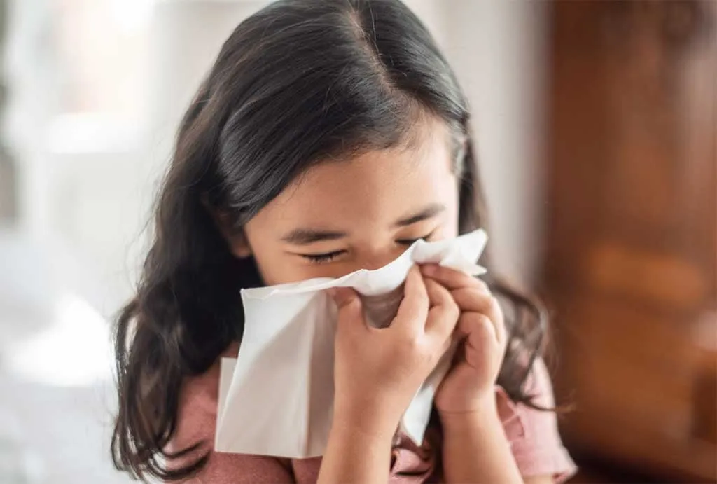 Fall Allergies at Home? How Your HVAC and Air Filters Can Help